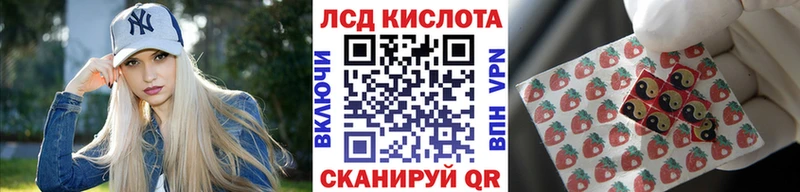 где найти   Петушки  Марки N-bome 1500мкг 
